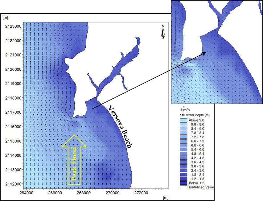                                                                               Hydrodynamic Studies
                                                                               